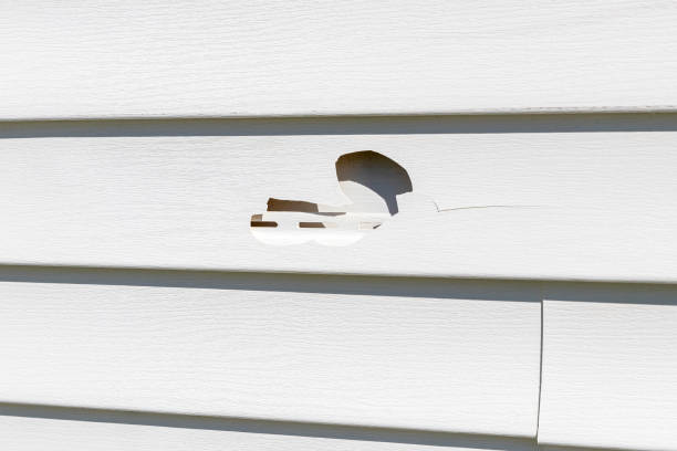 How To Choose The Right Materials for Your Siding Installation in 'Abernathy, TX